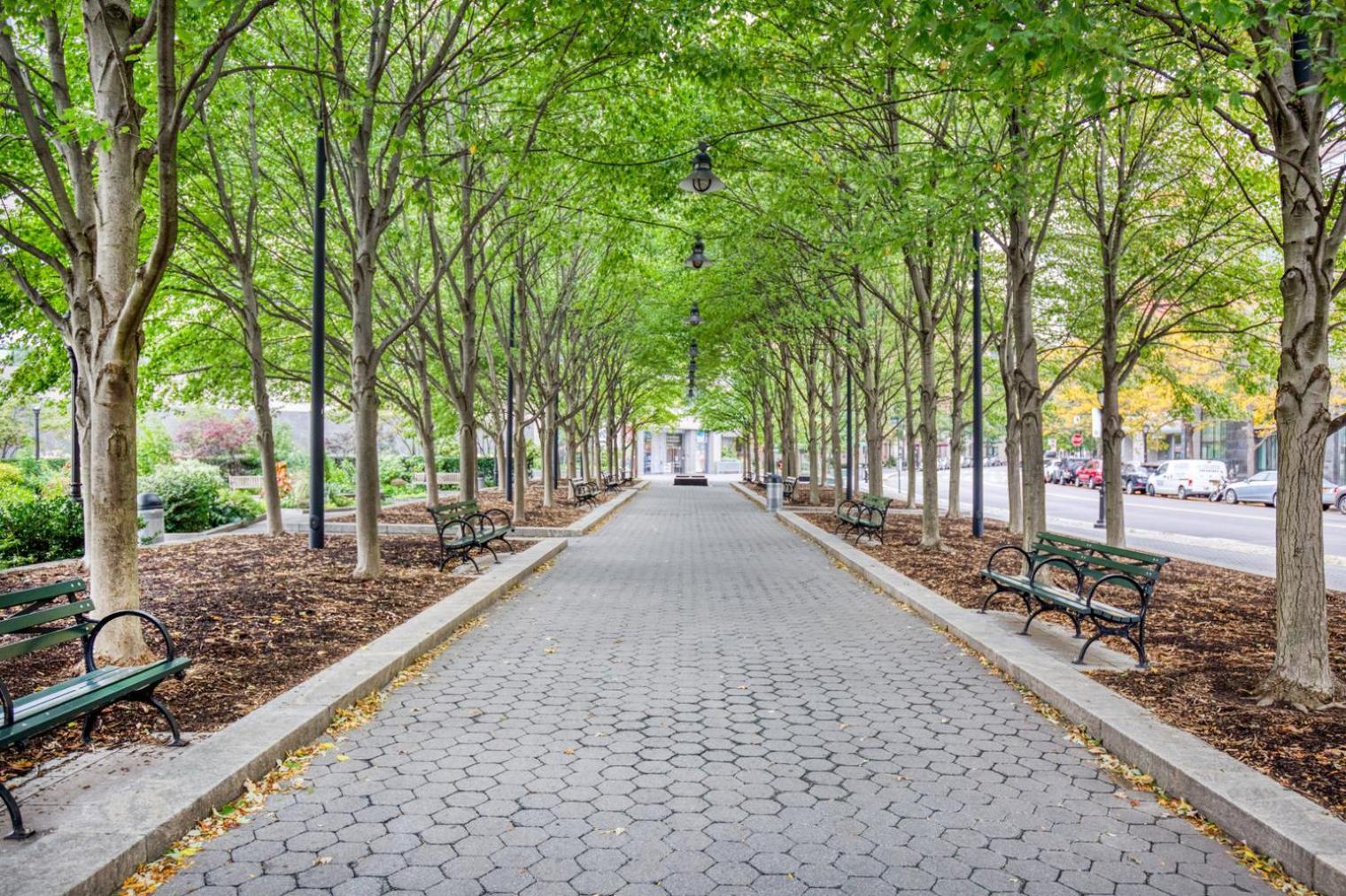 Apartamento Fidi 2br W Elevator Gym Doorman Nr St Nyc-661 Nova York